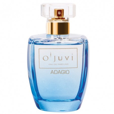 Parfumuotas vanduo Ojuvi Eau De Parfum Adagio For Men 100 ml