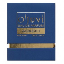Parfumuotas vanduo Ojuvi Parfum Adagio Men, 100 ml OJUADAGIO 2