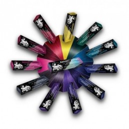 Pusiau ilgalaikiai, geliniai plaukų dažai Pro Pastelizer, 90 ml SPP13003 3