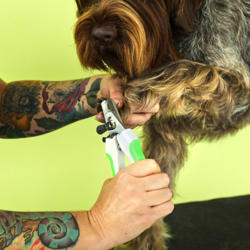 Žnyplutės gyvūnų nagams kirpti Andis Nail Clipper Žnyplutės gyvūnų nagams kirpti Andis Nail Clipper
