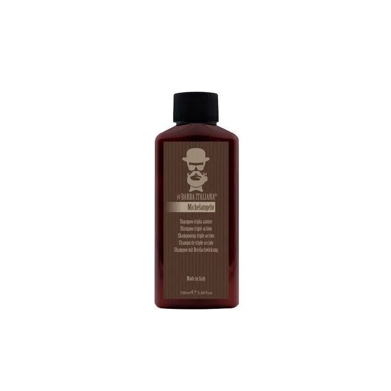 Šampūnas nuo pleiskanų Michelangelo 100 ml Šampūnas nuo pleiskanų Michelangelo 100 ml