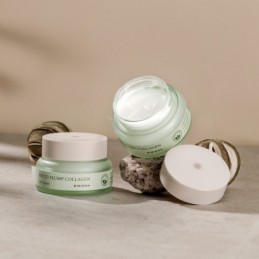 Veido kremas Phyto Plump Collagen Day Cream MIZ75425, 50 ml 3
