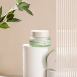 Veido kremas Phyto Plump Collagen Day Cream MIZ75425, 50 ml 5