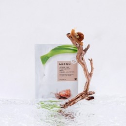 Veido kaukė Joyful Time Essence Mask Snail 23 g
