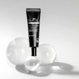 Veido kremas Black Snail All in One Cream MIZ319010039, 35 ml 2