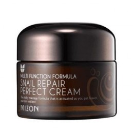 Mizon Snail Repair Perfect Cream