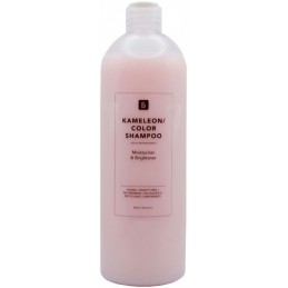 Šampūnas dažytiems plaukams Blautty Moisturizer 750 ml
