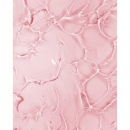 Šampūnas dažytiems plaukams Color Shampoo, 500 ml EVAN50043 2